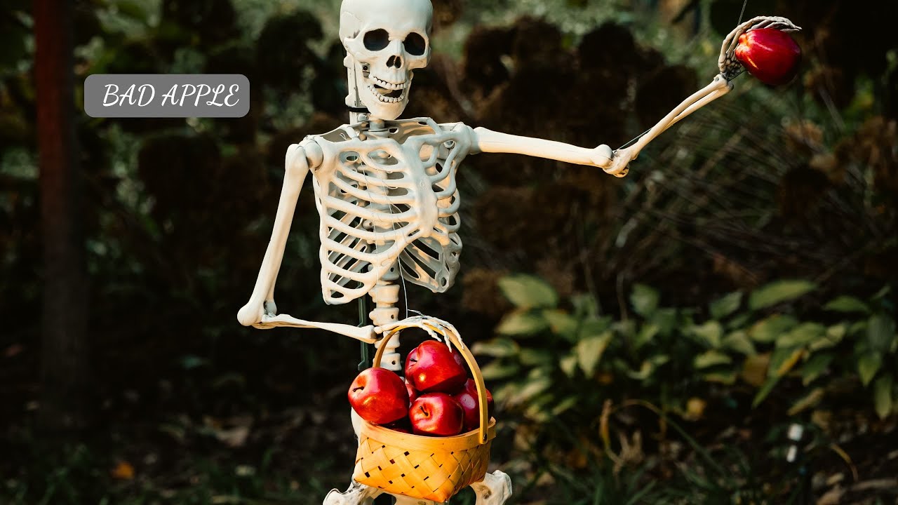 МЕСТЬ НАЧУ - ПЛОХОЕ ЯБЛОКО