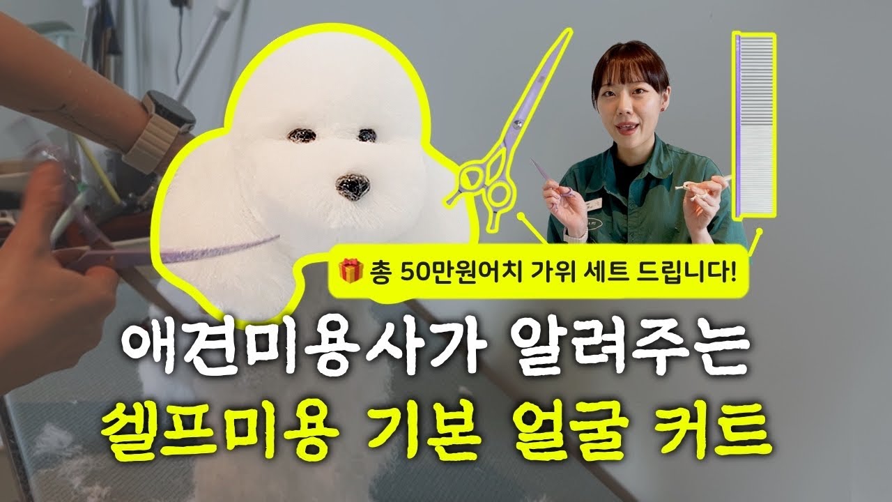 [🎁구독자 이벤트] 강아지 셀프미용 기본 얼굴컷! 애견미용사가 다 알려줌! (Feat. 흑조 가위와 함께해요)