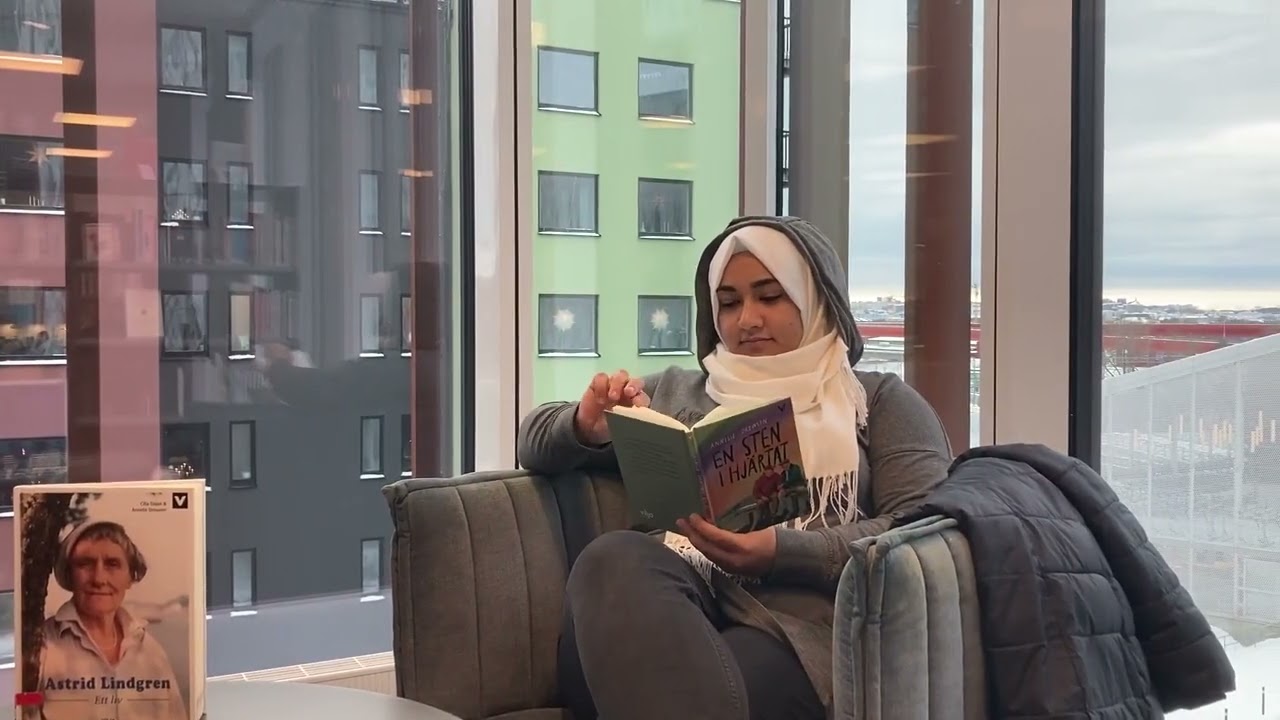 LL boktips En sten i hjärtat