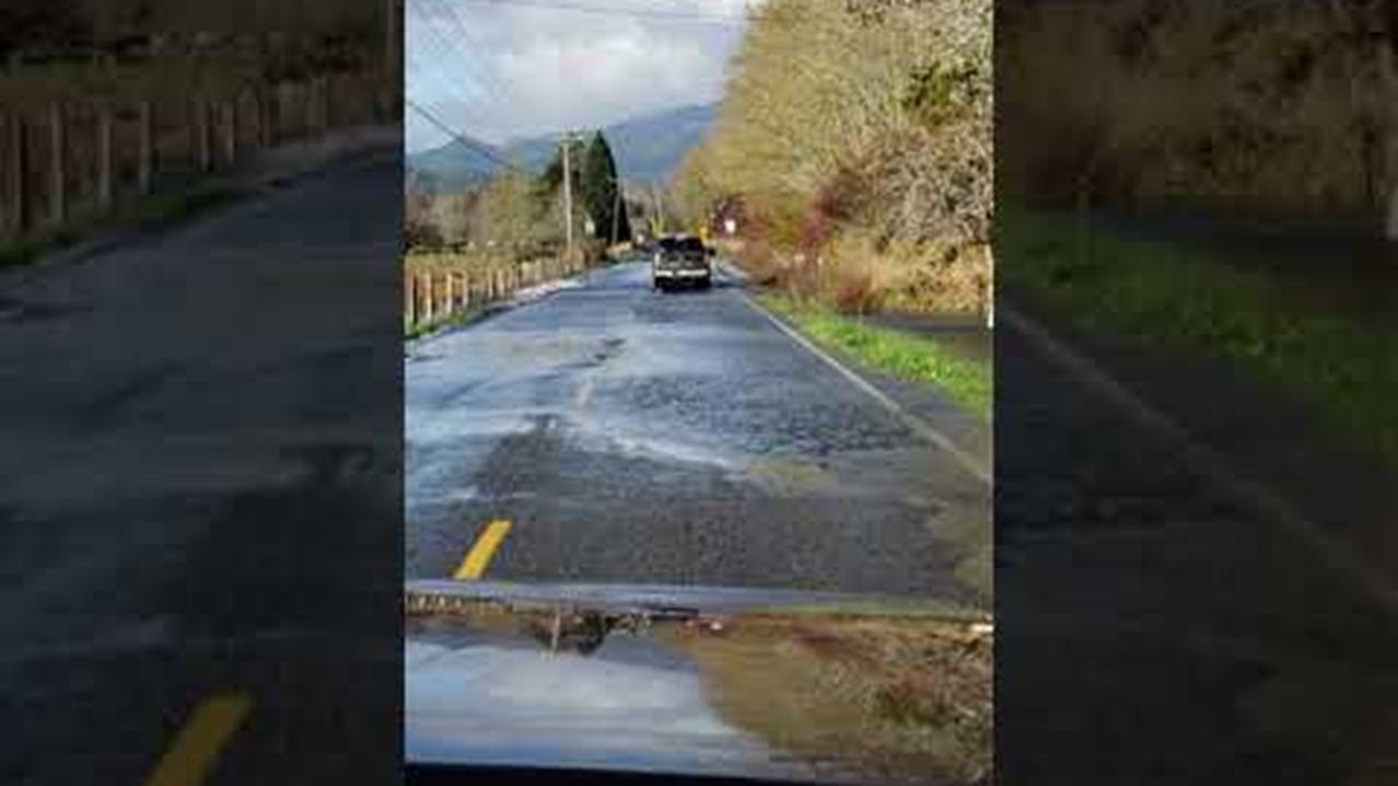 Fish Crossing Road Ahead || ViralHog