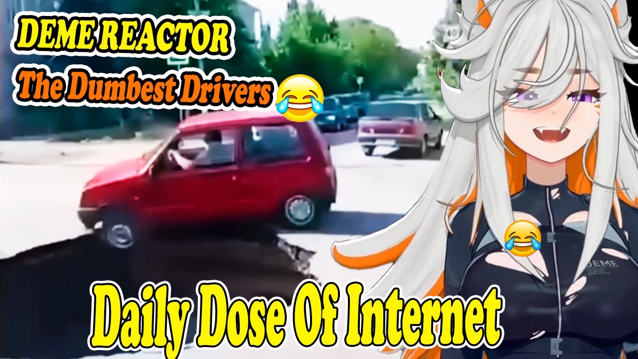 Deme REACTOR Daily Dose of Internet : The Dumbest Drivers Ever (Part 2)