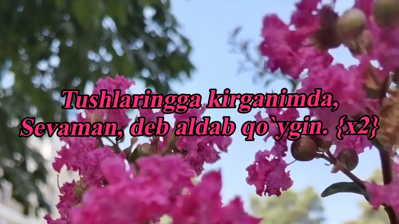 Oxunjon Madaliyev - Aldab qo'ygin KARAOKE 