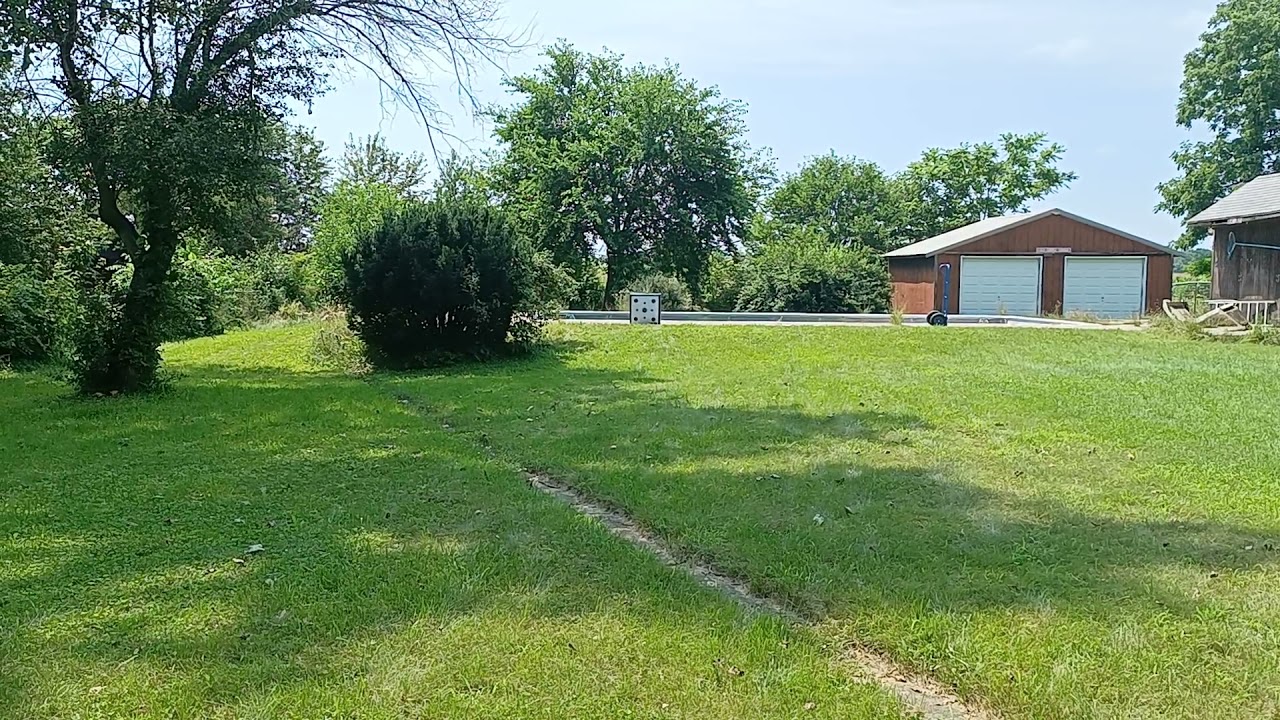 Umarex Air Saber AIR Rifle 50 yard shot.