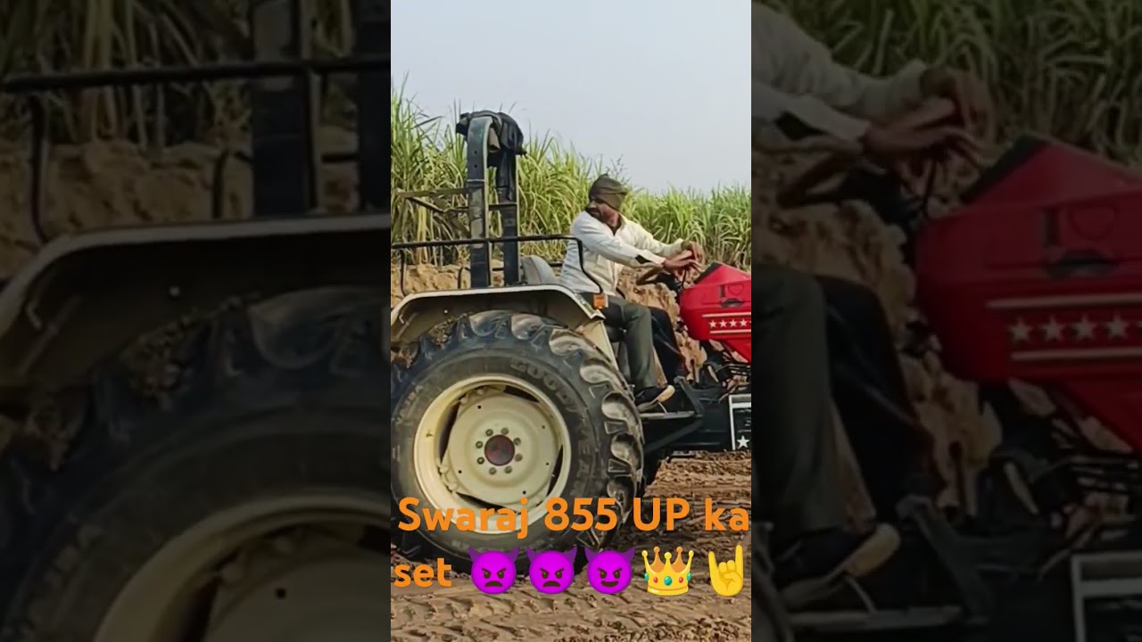 UP ka sher Swaraj 855 👑👑🤘🤘😈👿