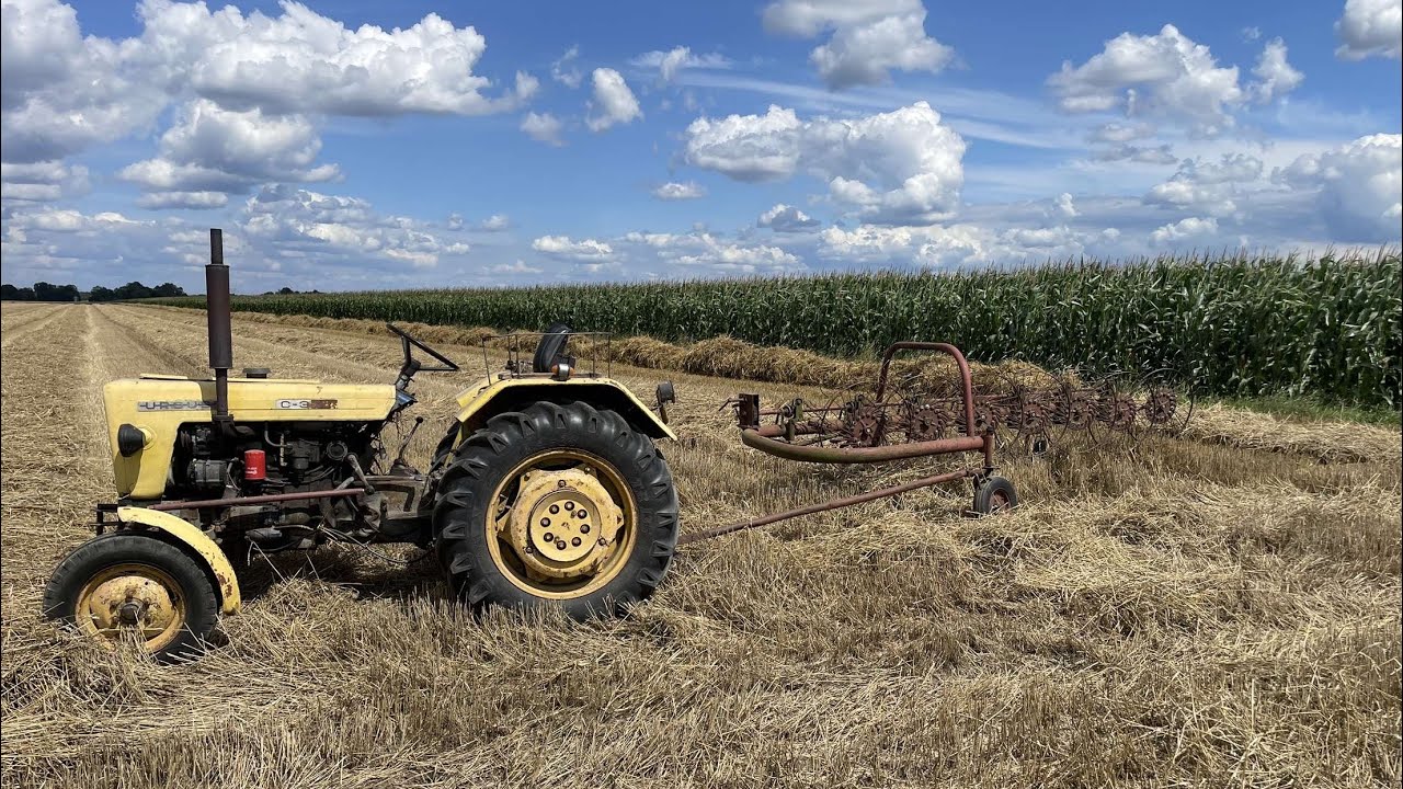 VLOG #144| Przetrząsanie Słomy - Jedyna Taka Akcja Na YT! Wakacje na Bali