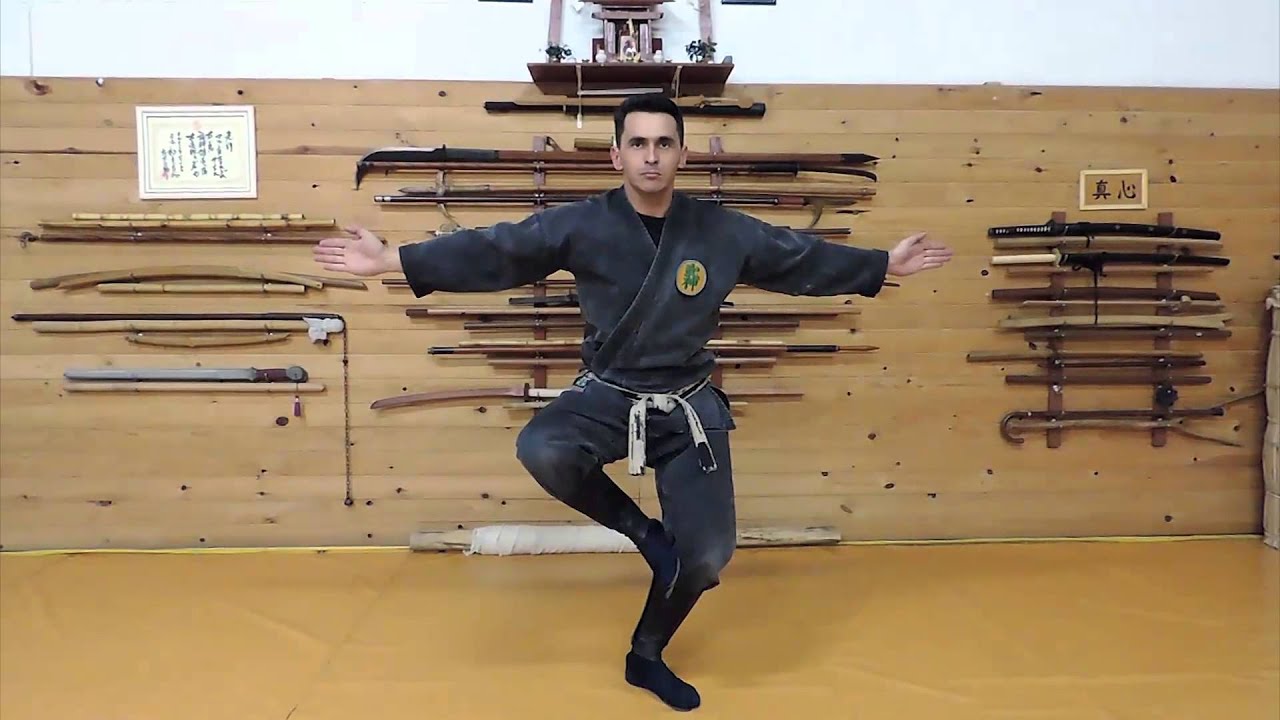 Ninjutsu Bujinkan - Kurai Dori (Koto Ryu Koppô Jutsu)