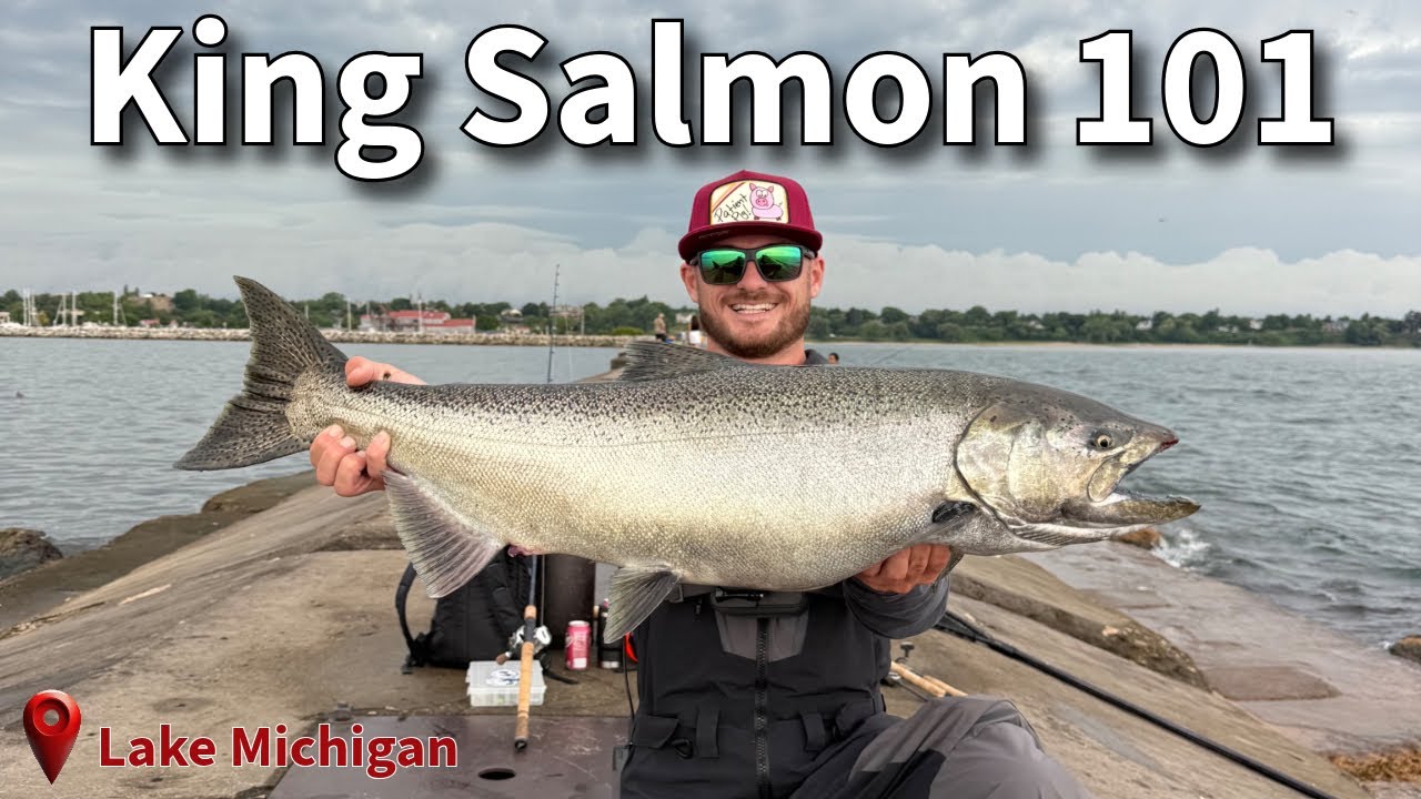 King Salmon 101 🎣 | Lake Michigan Salmon Fishing Tutorial 