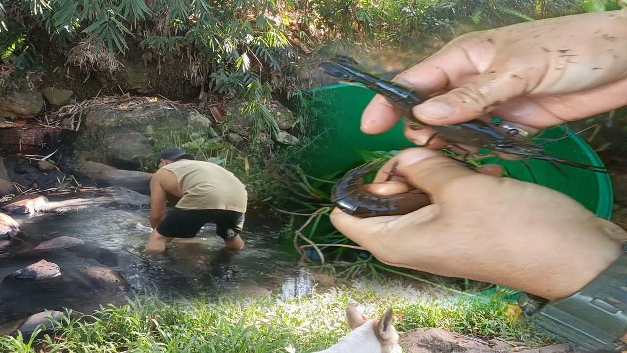 Paldo uli kami,dami nang pampain nito