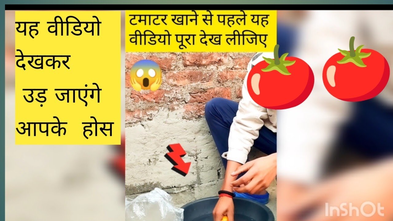 टमाटर खाने से पहले यह वीडियो ध्यान सेदेखें 