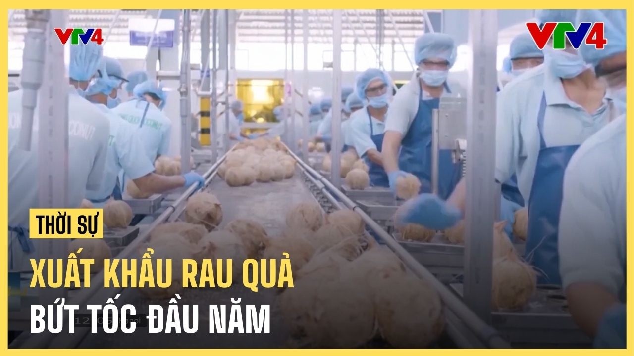 Xuất khẩu rau quả Việt Nam bứt tốc từ đầu năm | VTV4