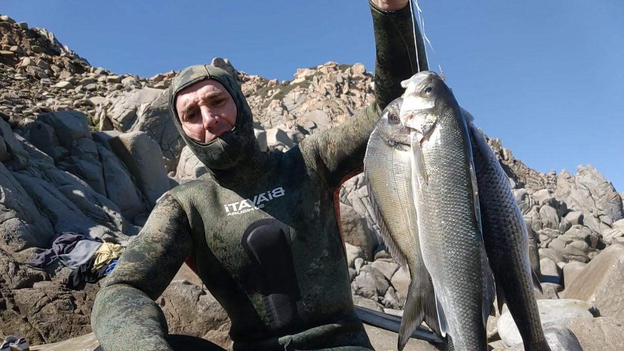 PESCASUB: SI RIPARTE SPIGOLE NELLA NEBBIA..