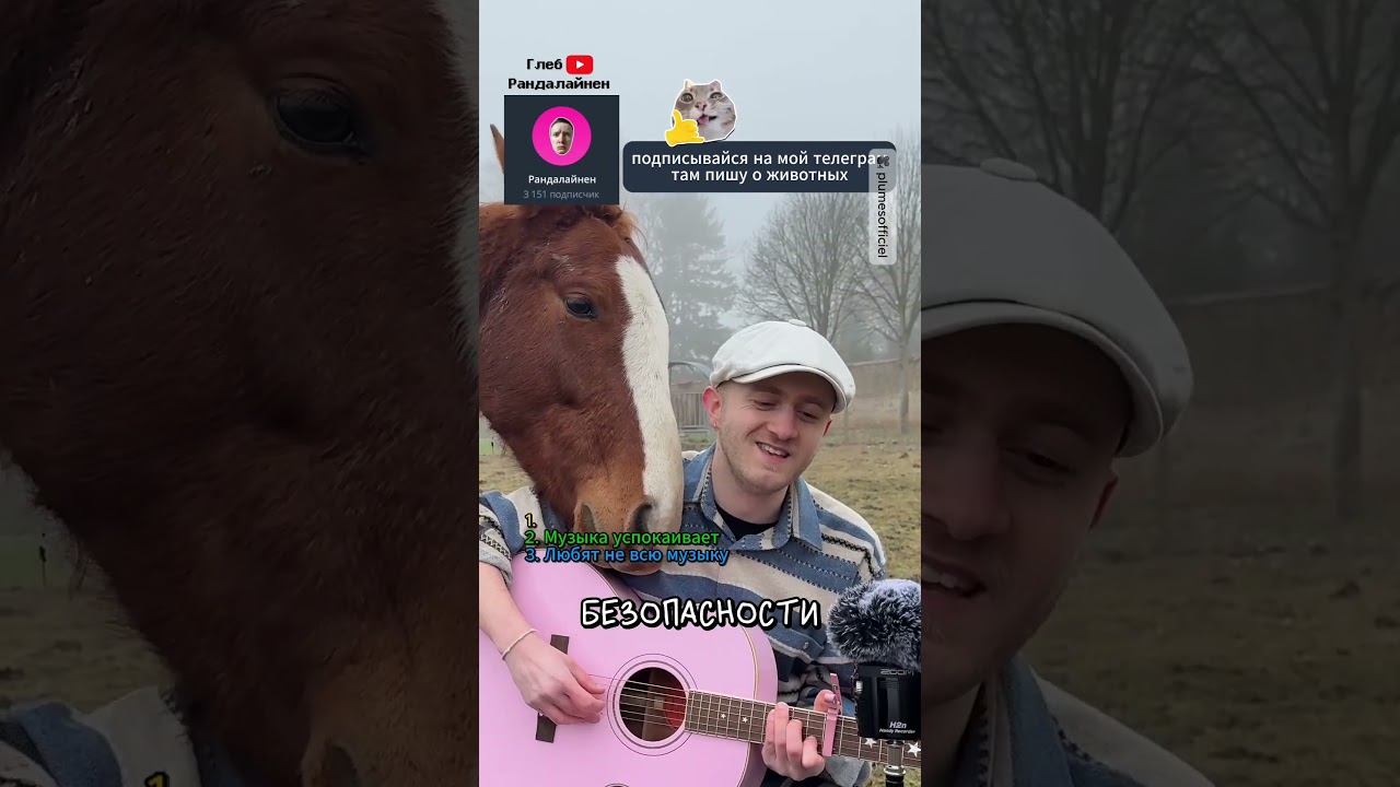 Почему Животные Любят Музыку 🙉🎶
