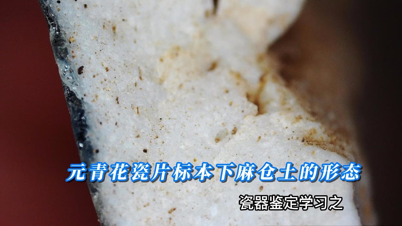 瓷器鉴定学习之元青花瓷片标本下麻仓土的形态