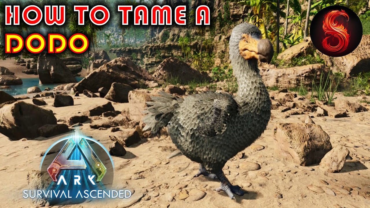 ARK SURVIVAL ASCENDED HOW TO TAME A DODO