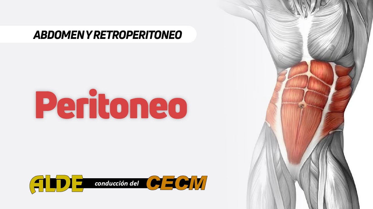 Curso Abdomen y Retroperitoneo - 6ta Clase: Peritoneo