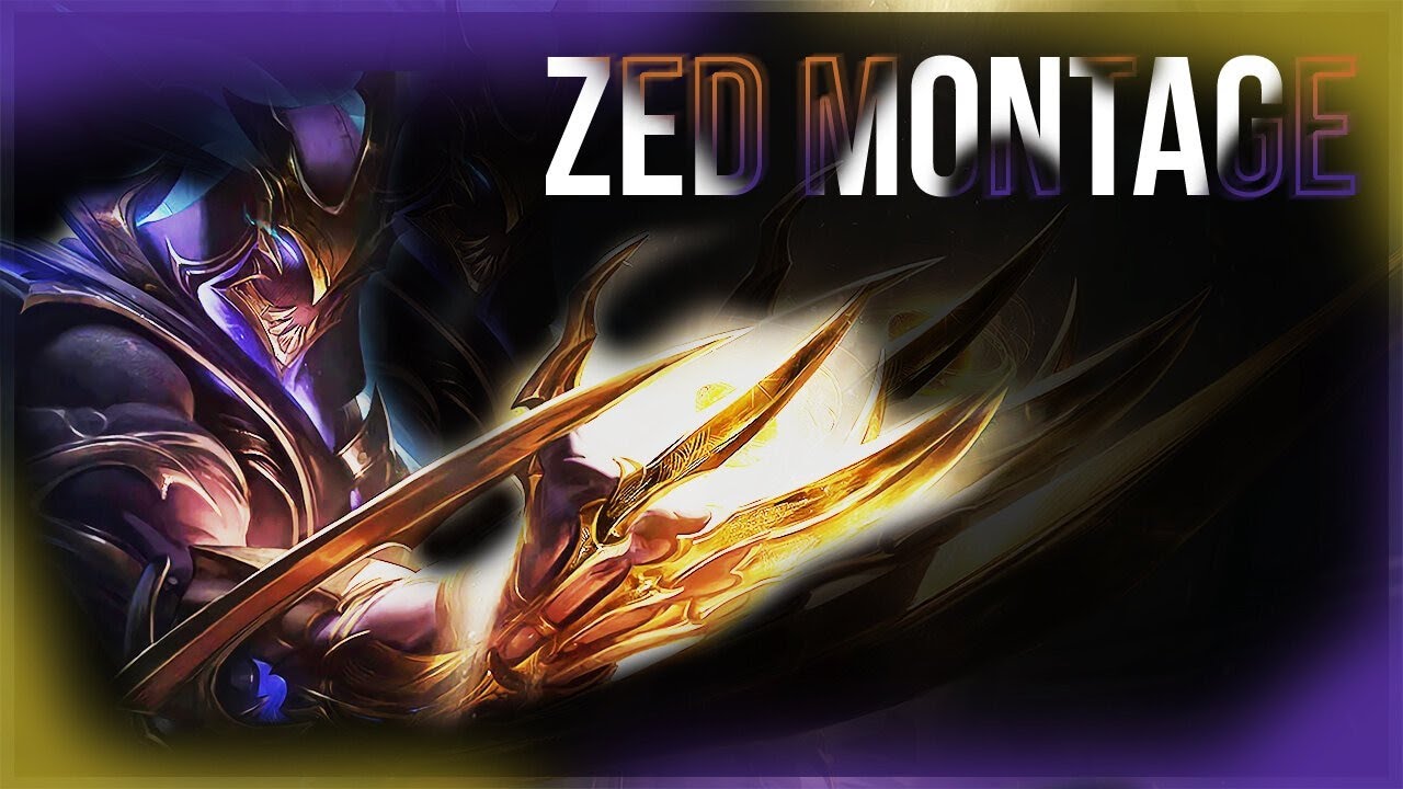 KOREAN 1087LP ZED MONTAGE