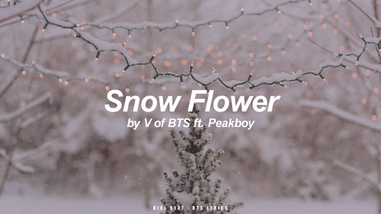 Snow Flower ft. Peakboy | V (BTS - 방탄소년단) English Lyrics