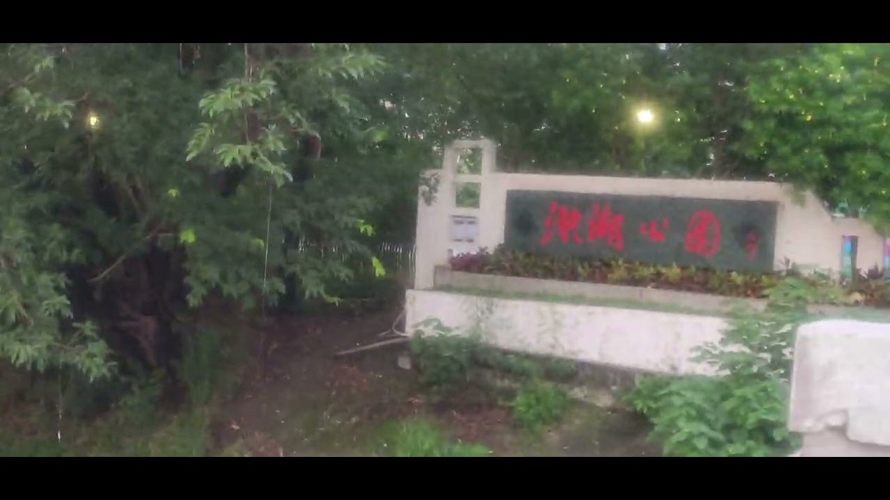 Beautiful Nature Walk at Honghu Park | Scenic Lake & Garden View in Shenzhen 🇨🇳