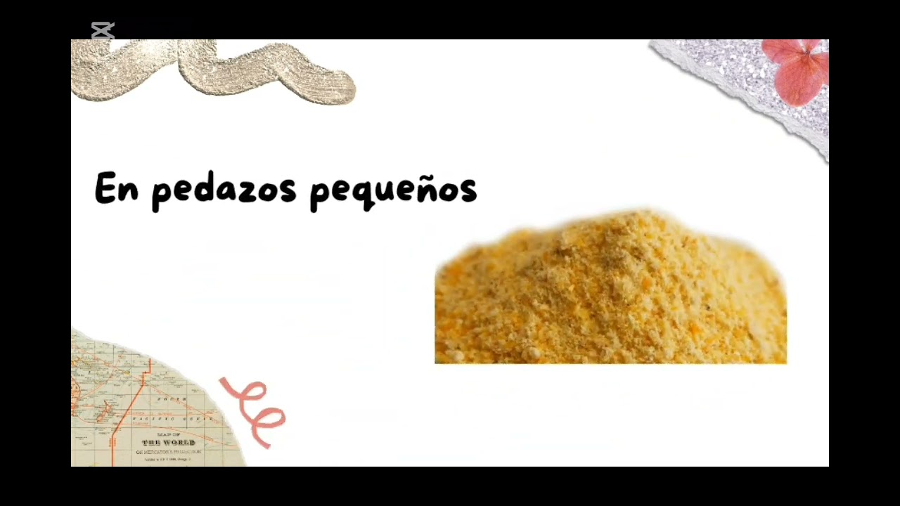El sistema digestivo del pollo