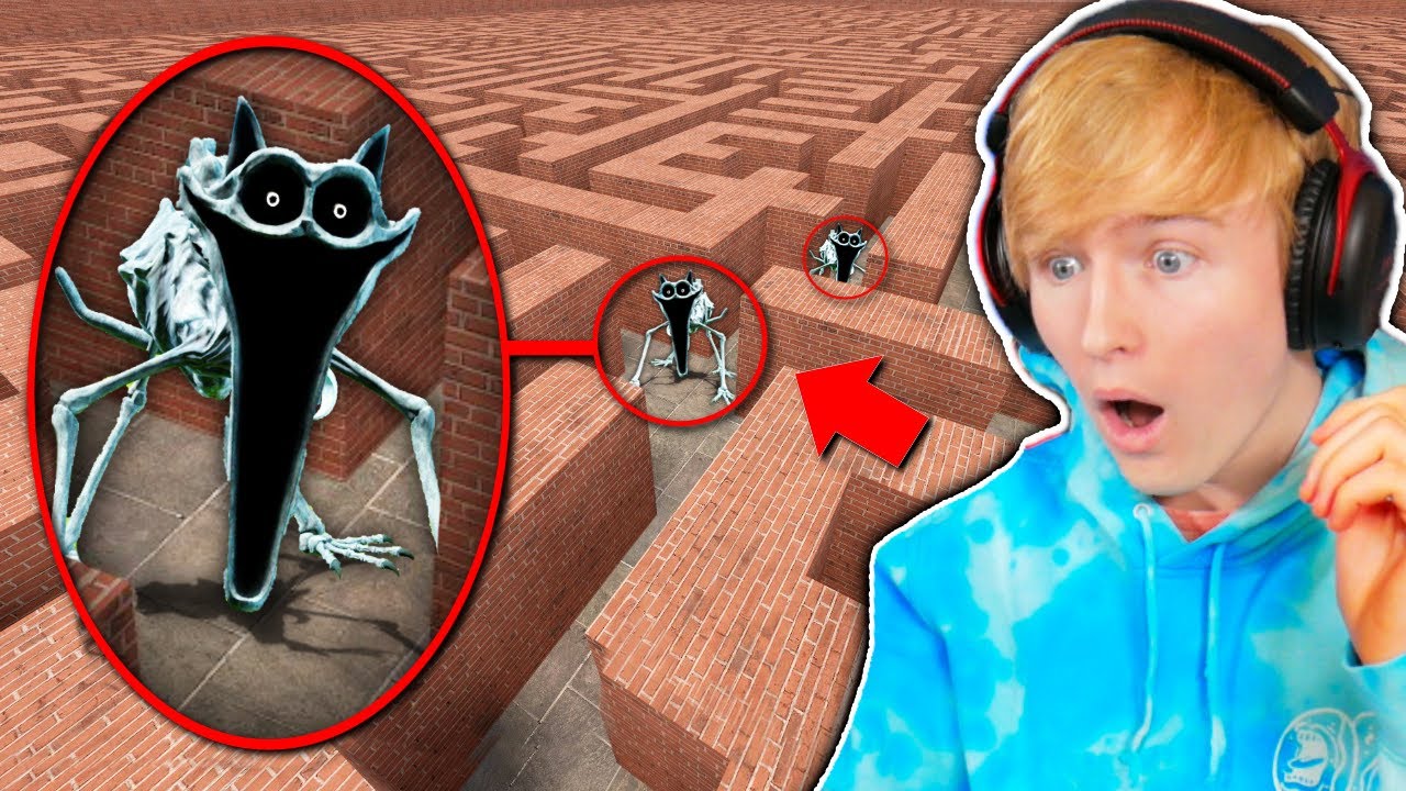 Can NIGHTMARE CATNAP find me in a MAZE?! (Garry's Mod Sandbox)