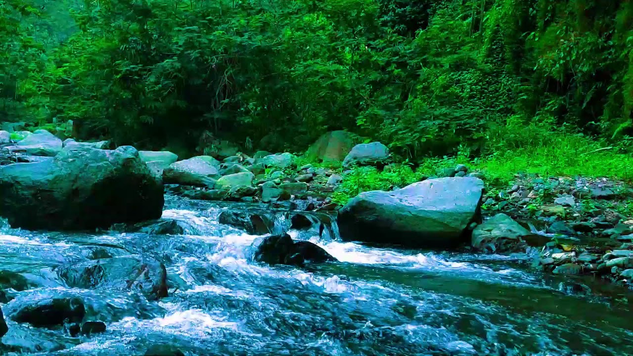 Night River Ambience  Natural Stress Relief  Insomnia Help