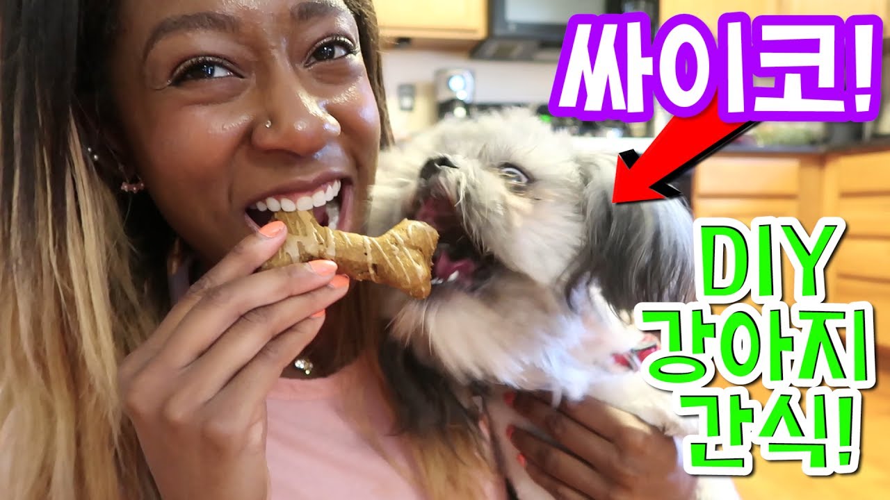 직접 만들어서 먹어본 강아지 간식 맛은? DIY Dog Treats