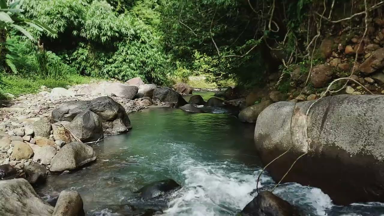 Experience Peaceful Stream Flow Between Natural River Stones for Study Focus