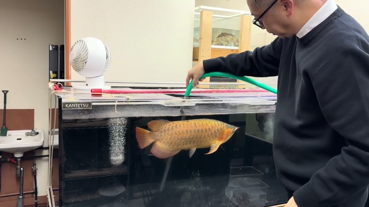 大型水産のフン掃除！マニアのアイデア！