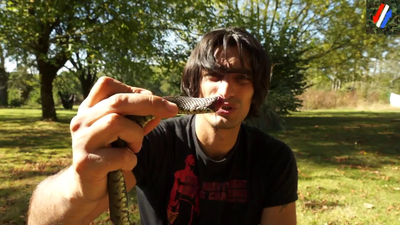 Tuto: Comment cuir un serpent