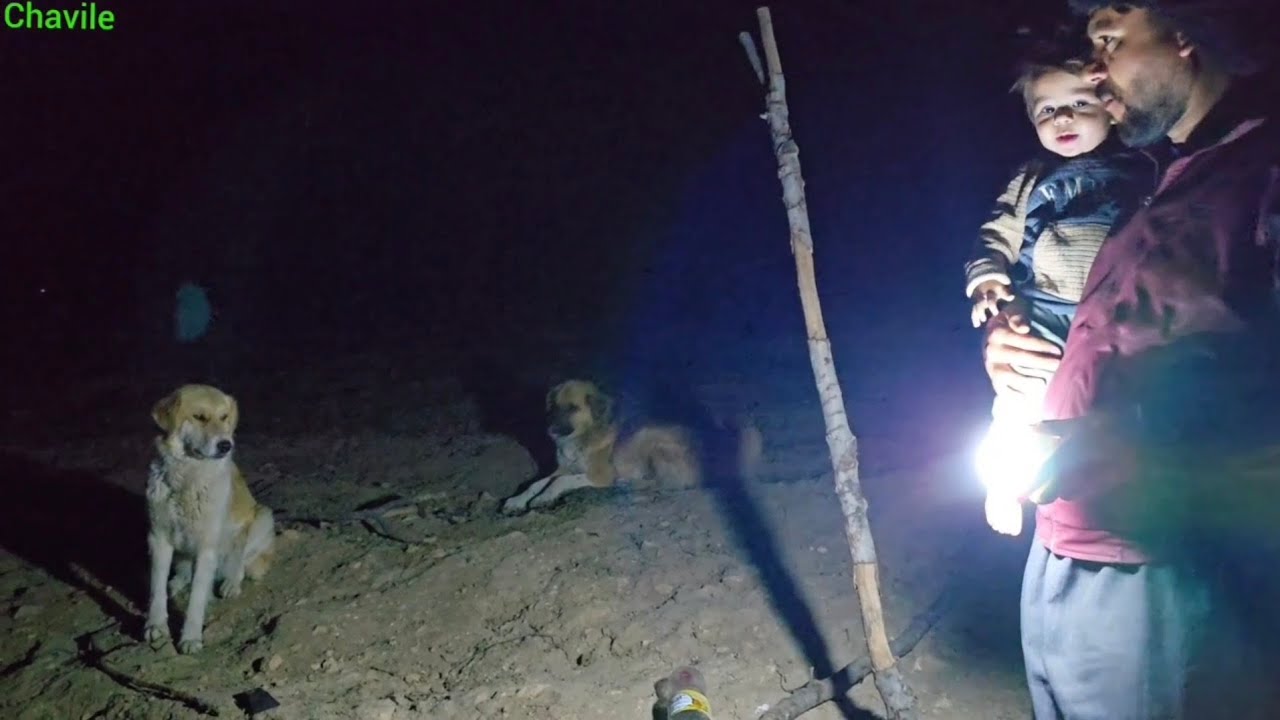 Nomad Life in Zagros Mountains | Traditions & Customs of Iranian Nomads 🏔️💚
