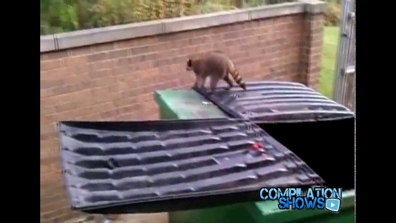 Fail Compilation May 2013 Week 4 [HD] [NEW]