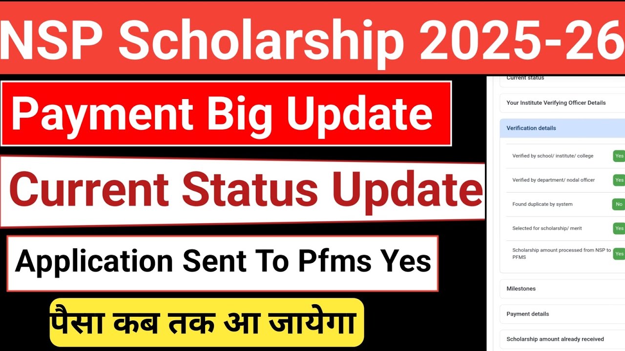 NSP Current Status 2026 | Fresh And Renewal | Pg Current Status | Current Status New Update Today 