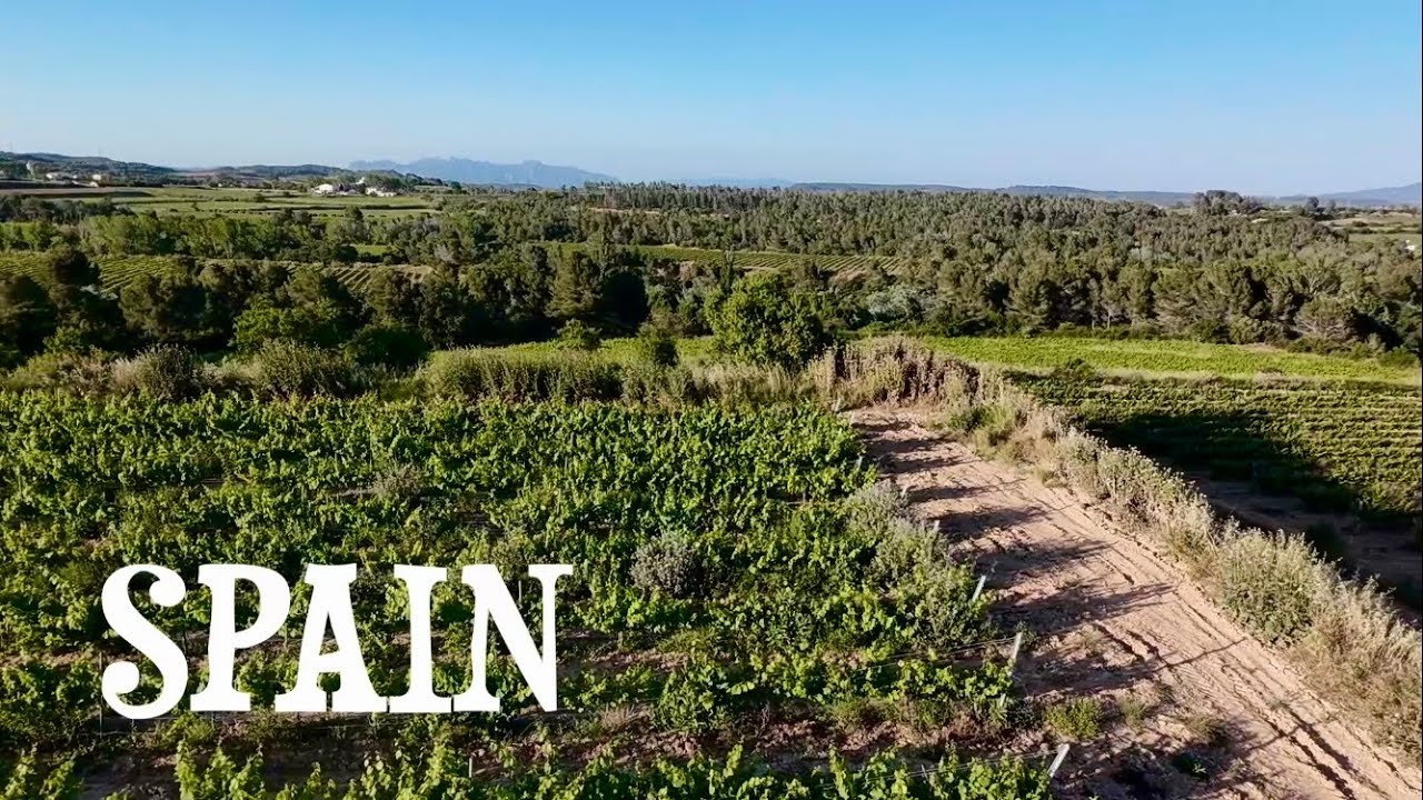 Barcelona: Catalonia Kava Region | Spain 🇪🇸| Travel vLog | 2025 