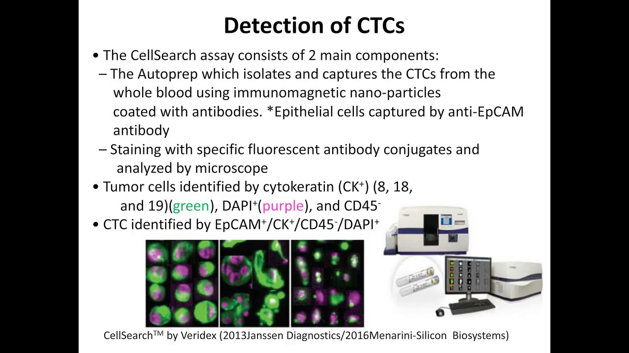 Circulating Tumor Cells Clinical Utility, Challenges and Future Prospects