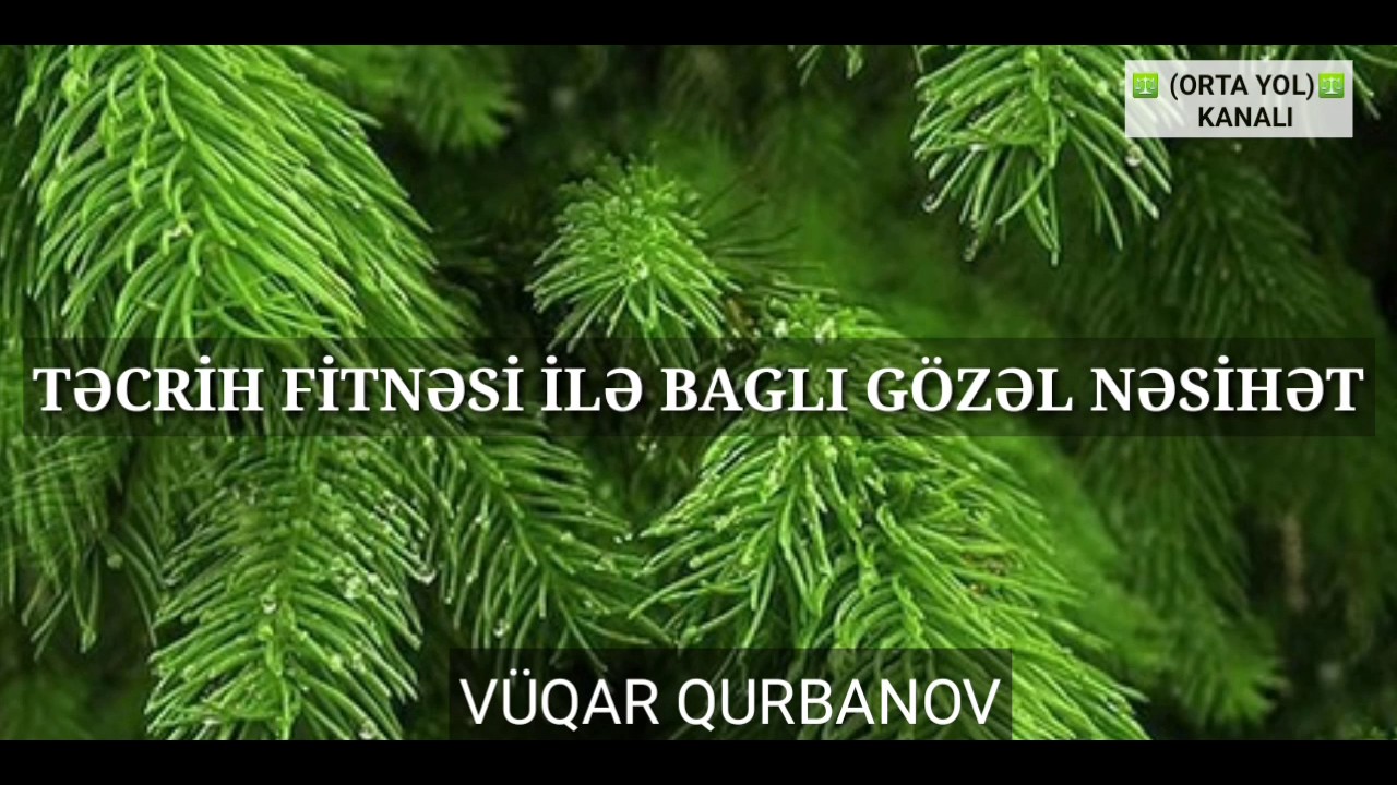 VUQAR QURBANOV: