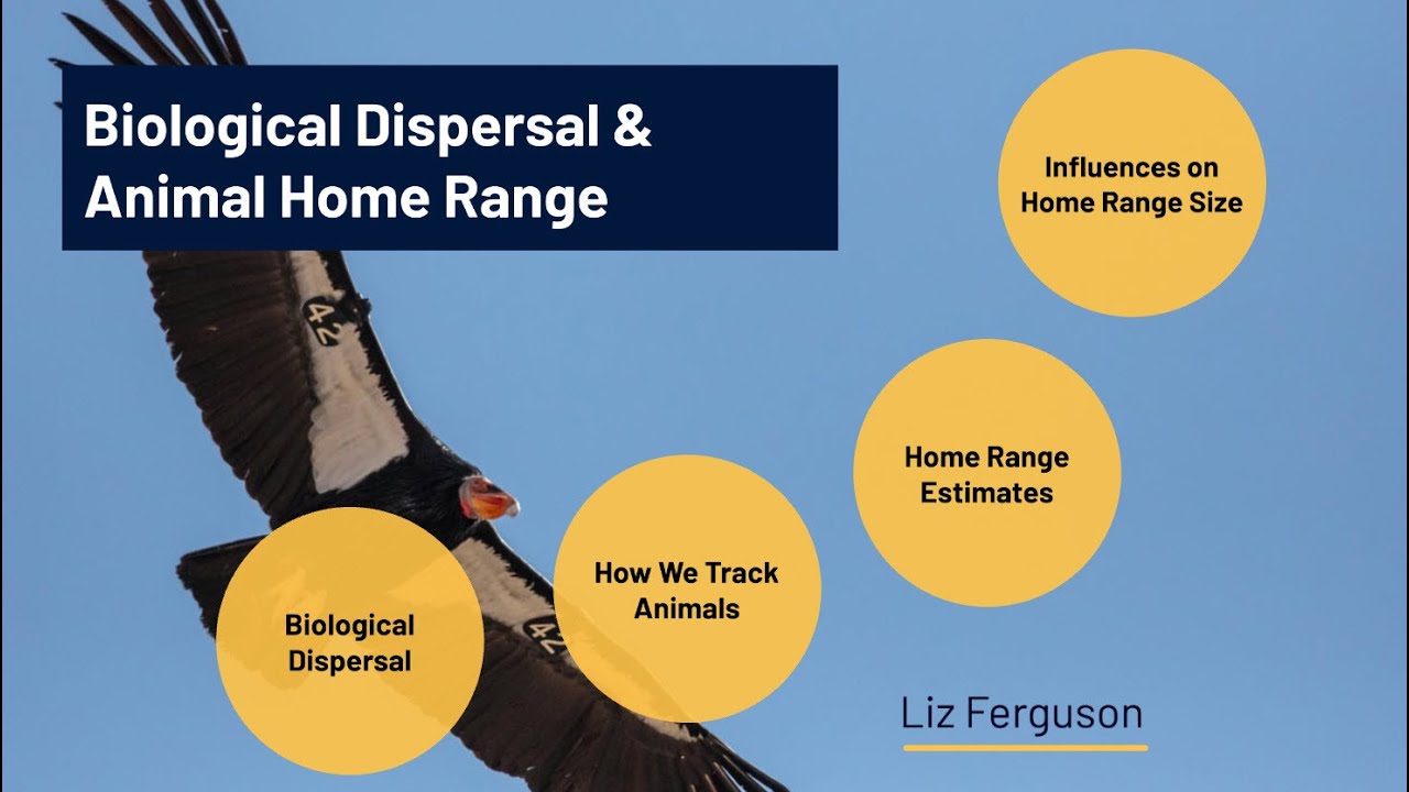 Dispersal & Animal Home Range