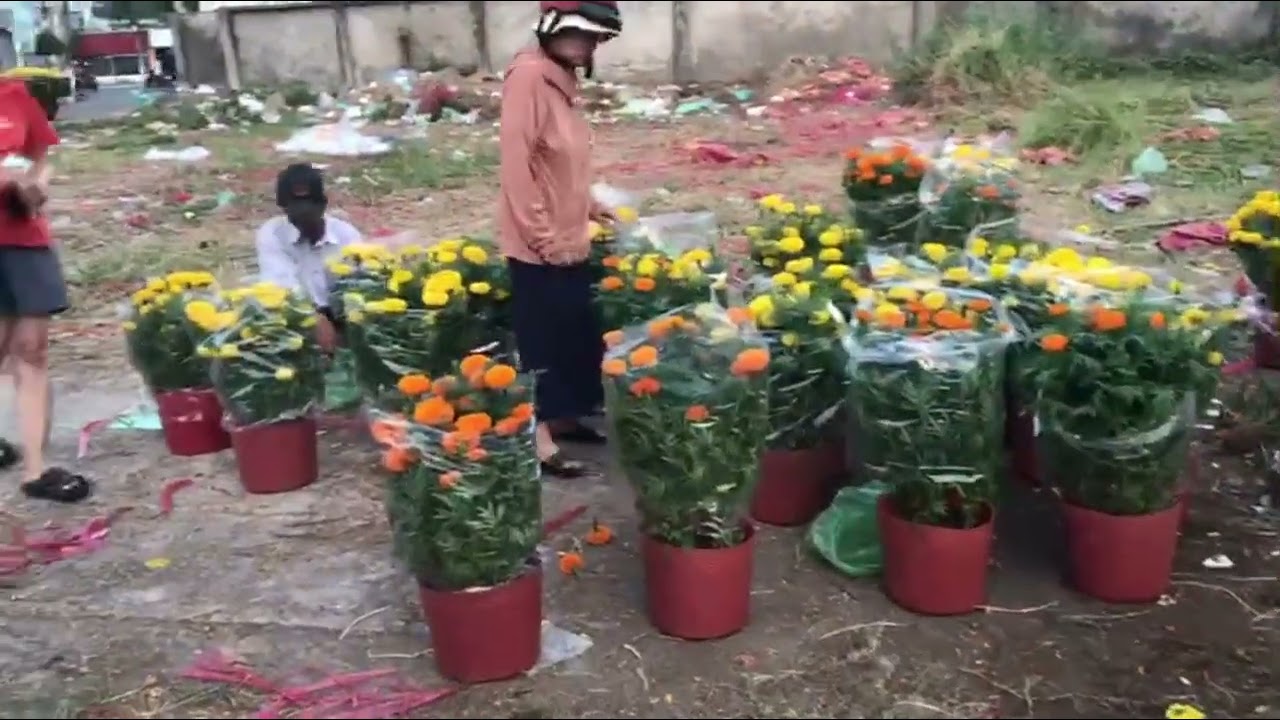 Video còn xót lại tết 29 âm không khí nhộn nhịp và tấp nập