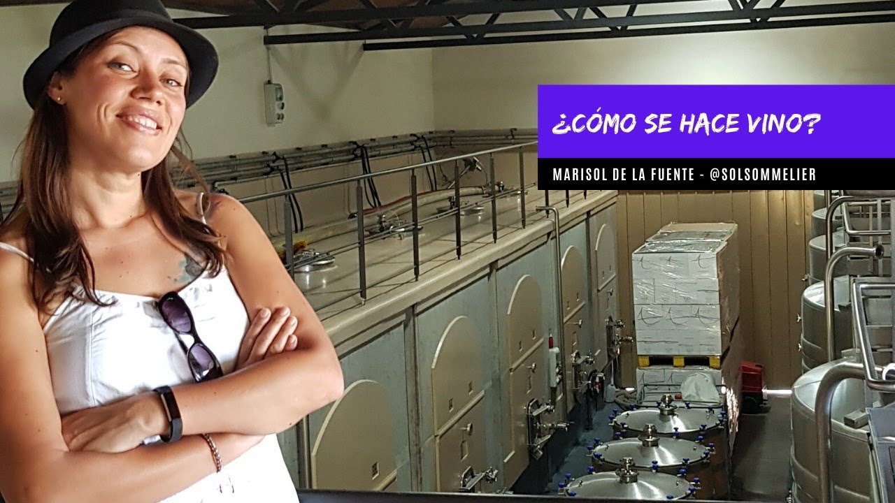 ¿Cómo se hace vino? con Solsommelier