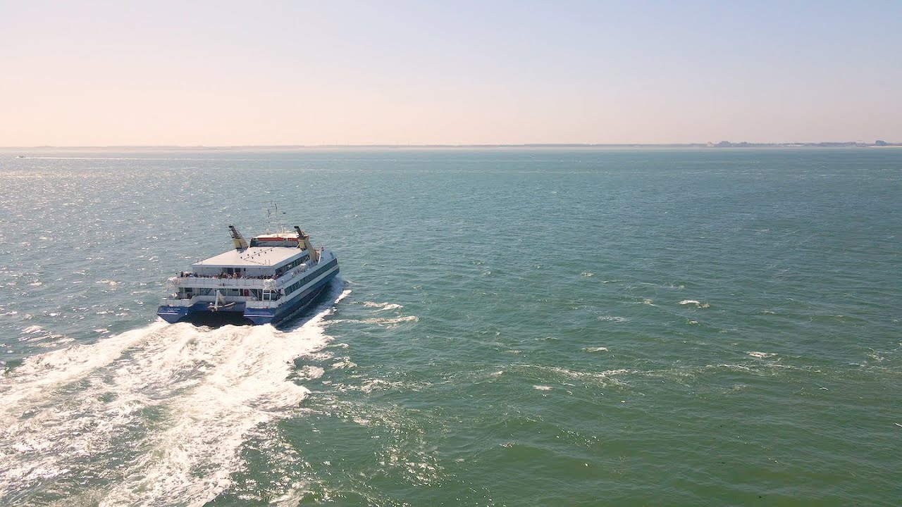 Westerschelde Ferry: achter de schermen | allyourz