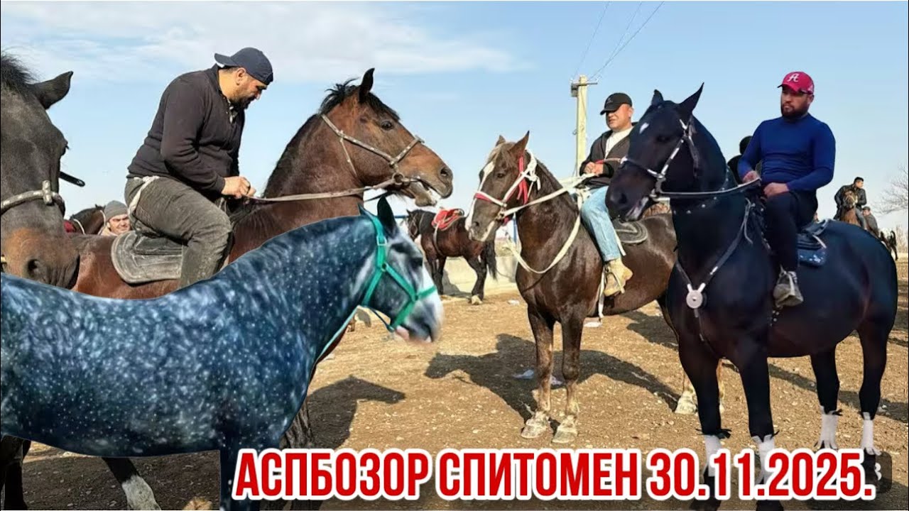 Имруз Аспбозор Спитомен 30 ноября 2025 г.