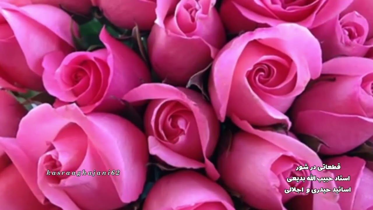 ویولن جاودیی استاد#حبیب_الله_بدیعی به همراه سنتنور استادمحمدحیدری و ضرب استاد اجلالی در شور
