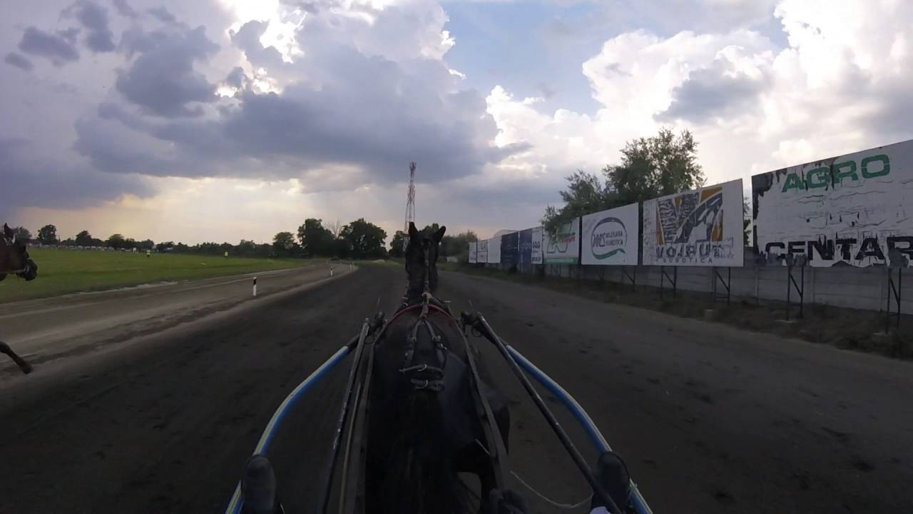 Subotica 2016.06.26 trka do 10000eu. PERFEKT I.mesto 1:16.0