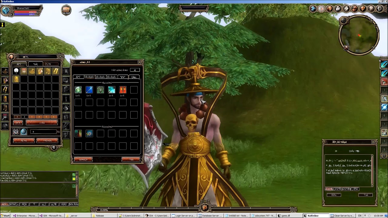 Zig Presents - Kalonline Shaman Active Skills