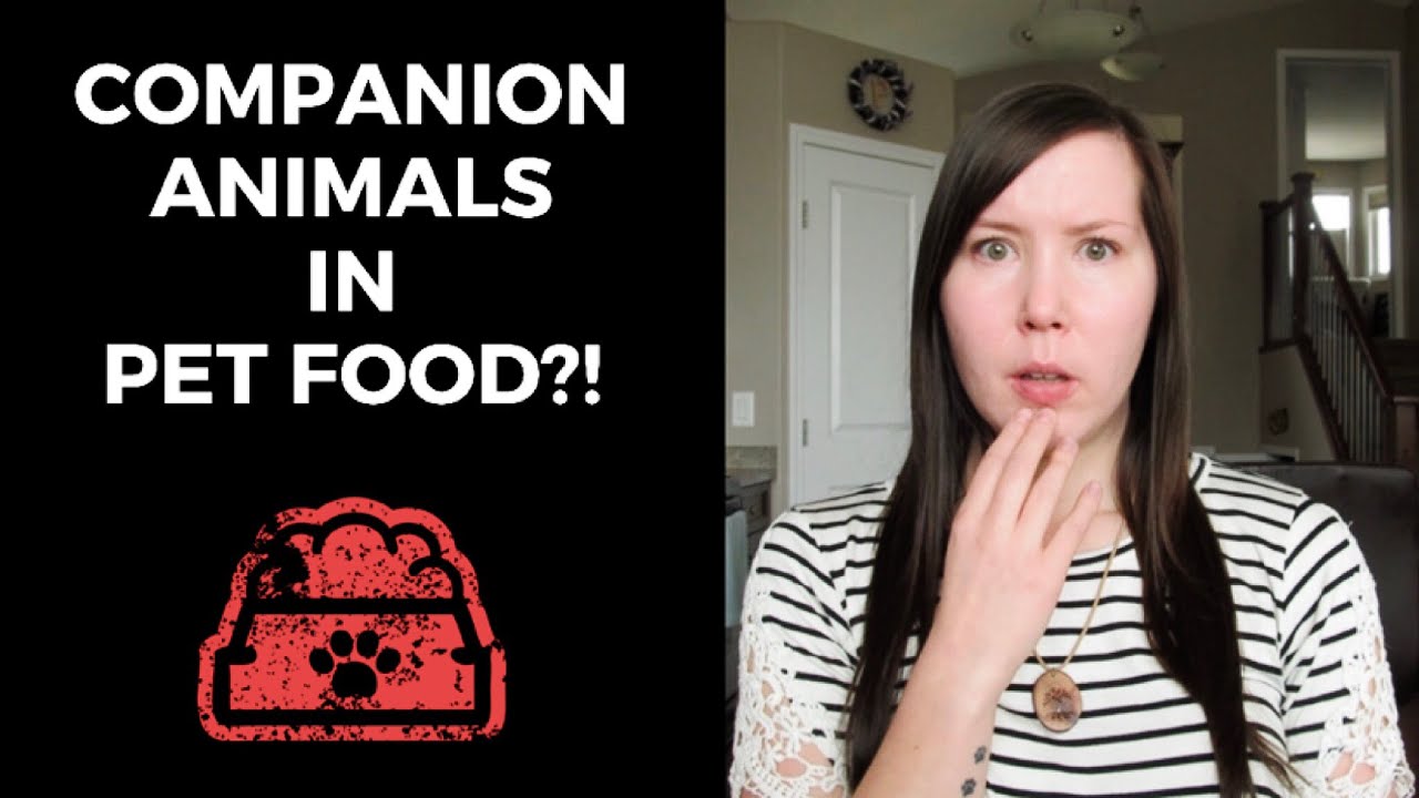 Companion Animals In Your Pets Food? | SHOCKING Facts About Pet Food Part 2