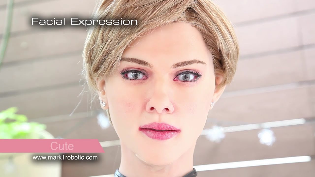 Beautiful Humanoid Robot - Can Be More Than A Best Friend !!
