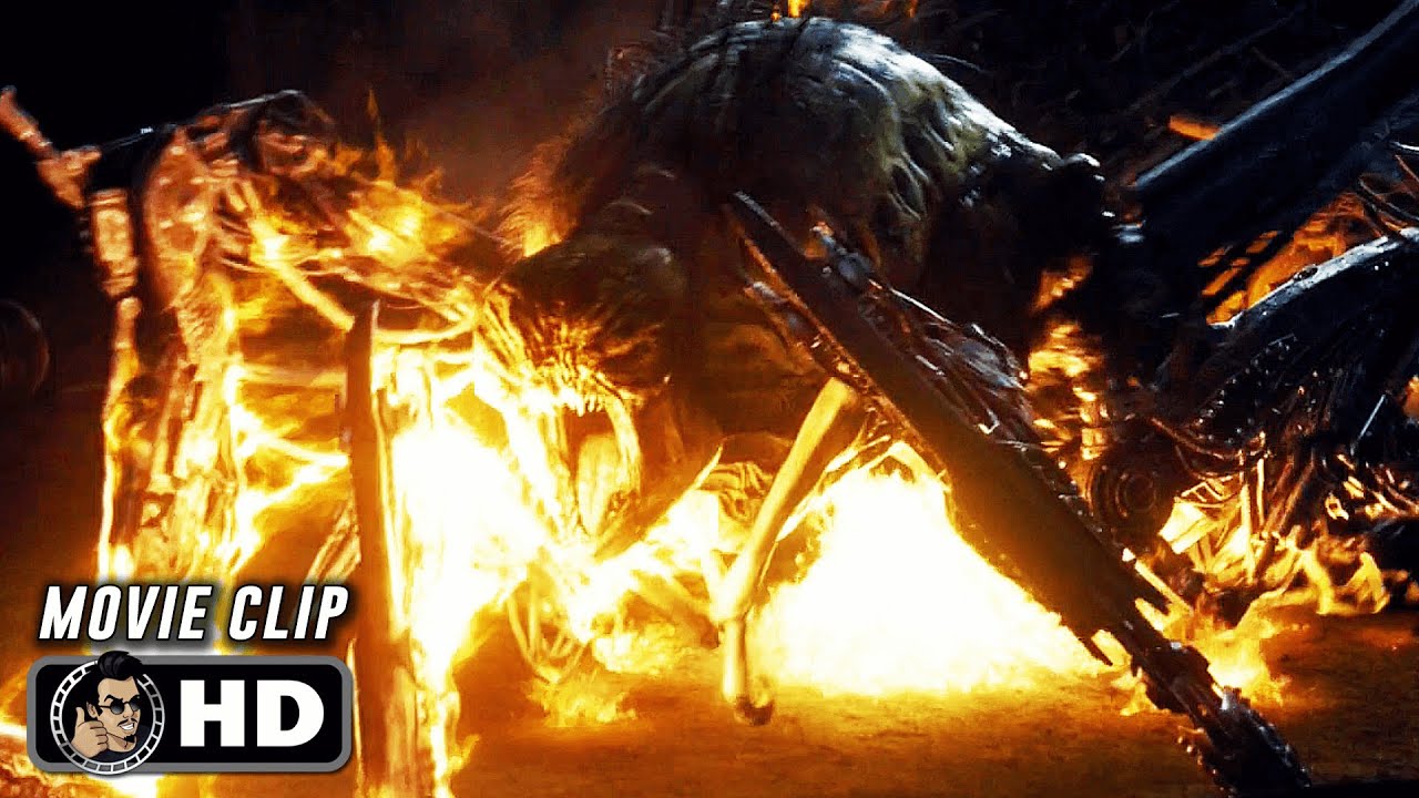 THE MAZE RUNNER Clip - 