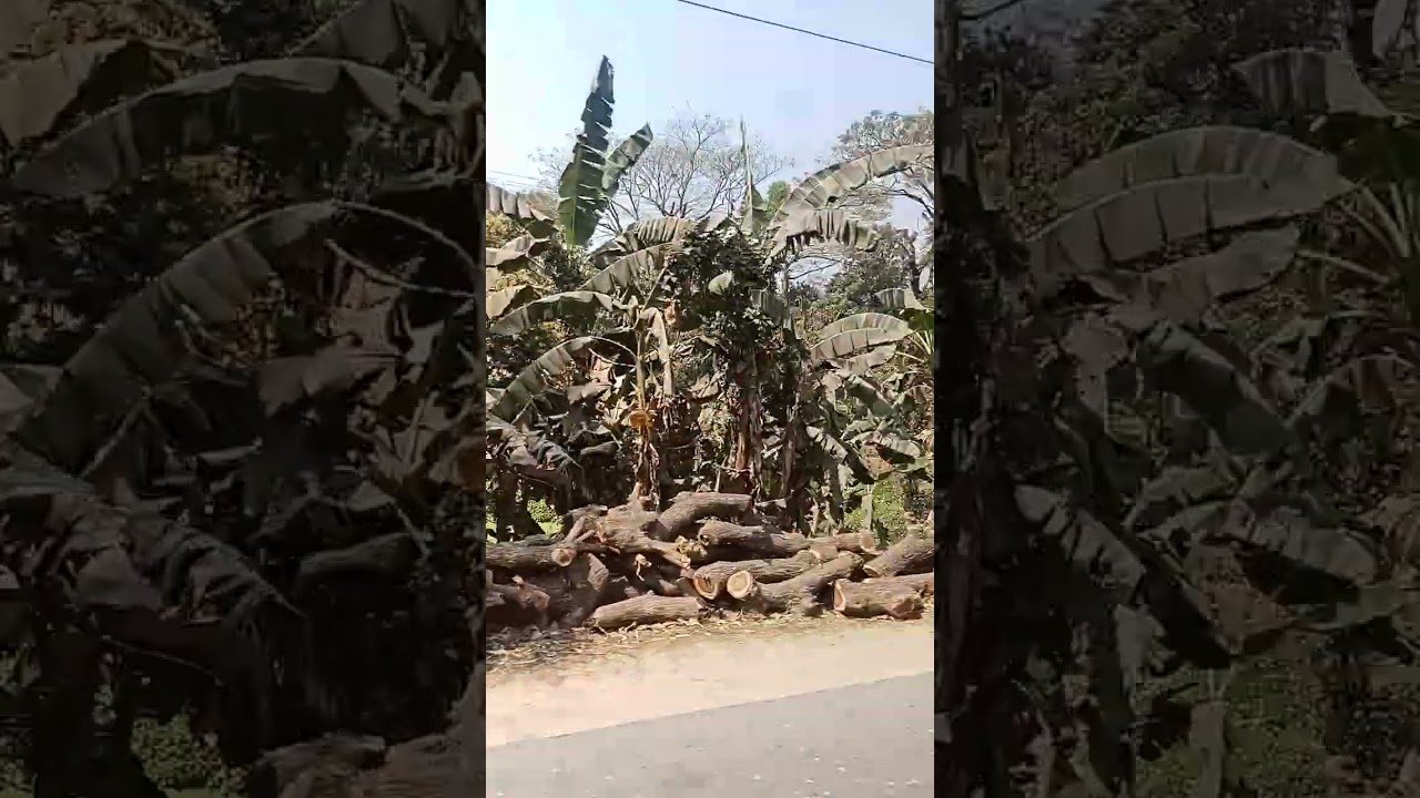 আলহামদুলিল্লাহ রমজান মোবারক ৫দিন 