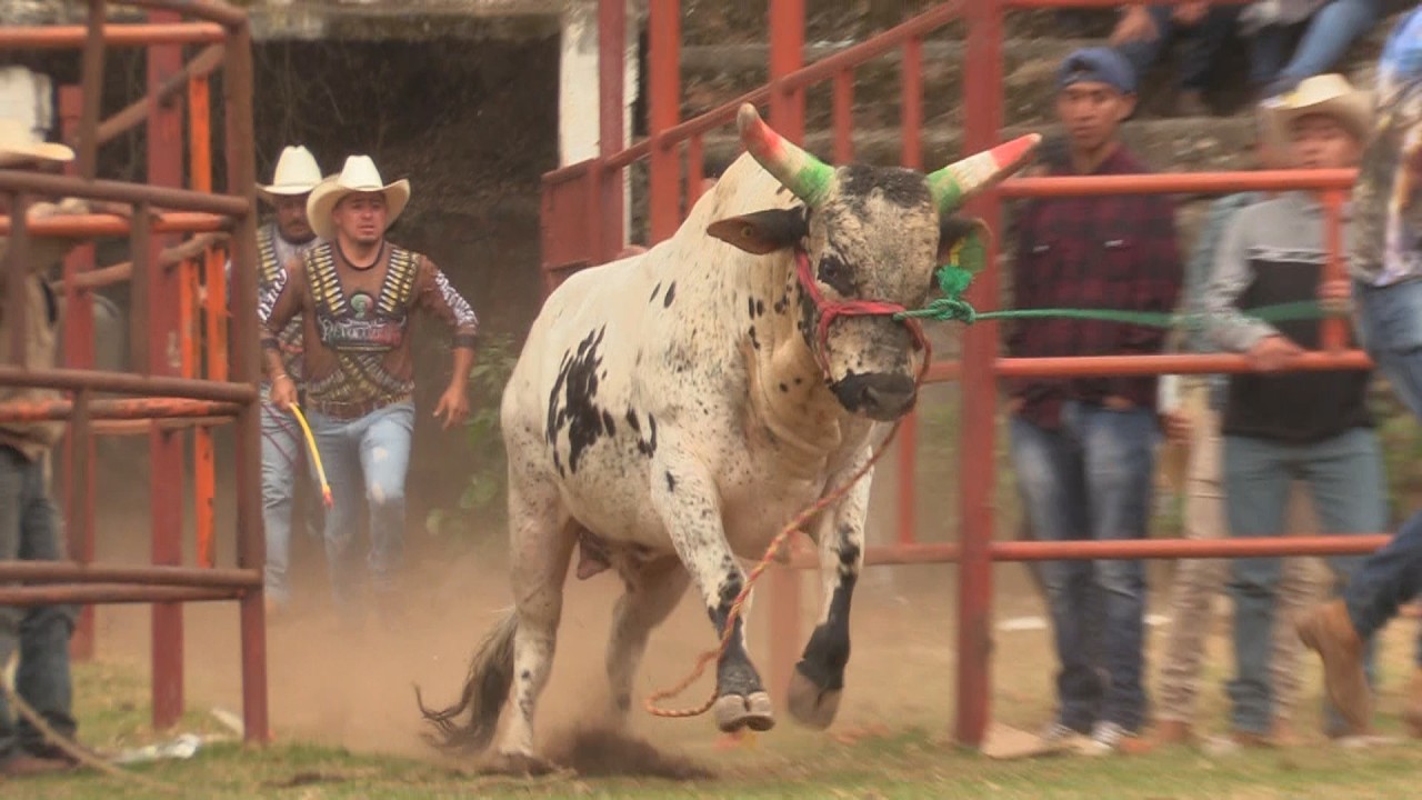 🔴 Jaripeo en Vivo 🔴 8 febrero 2026 RANCHO LA REVOLUZIÓN en Santa Inés Acambaro Guanajuato