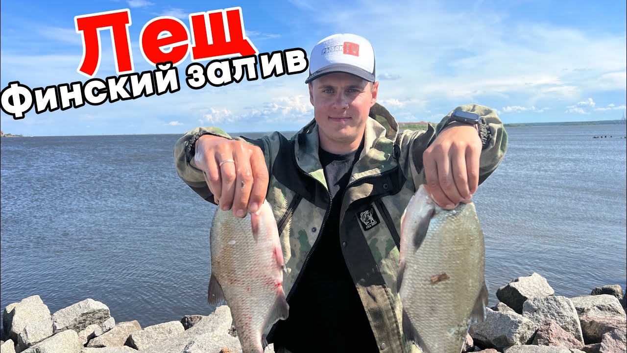 Лещ. Финский. Дамба. Ловля Леща на Финском заливе. Дамба.