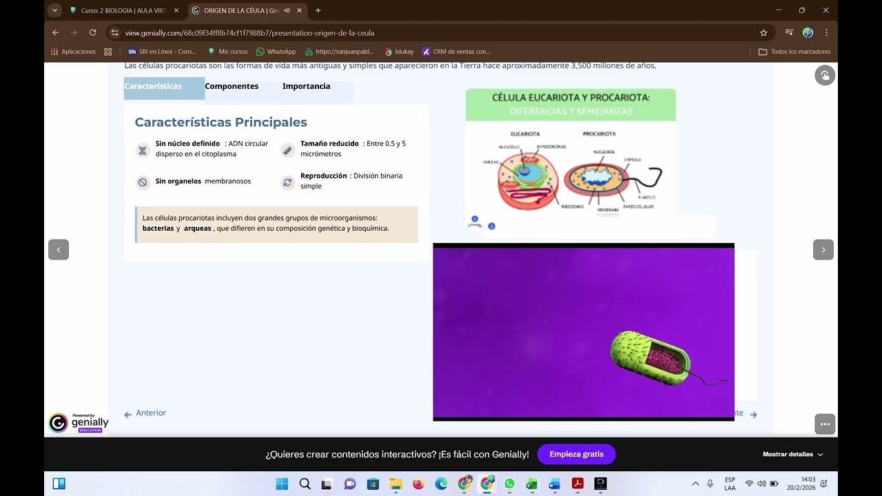 TEMA: RETROALIMNTACIÓN PROPEDÉUTICO